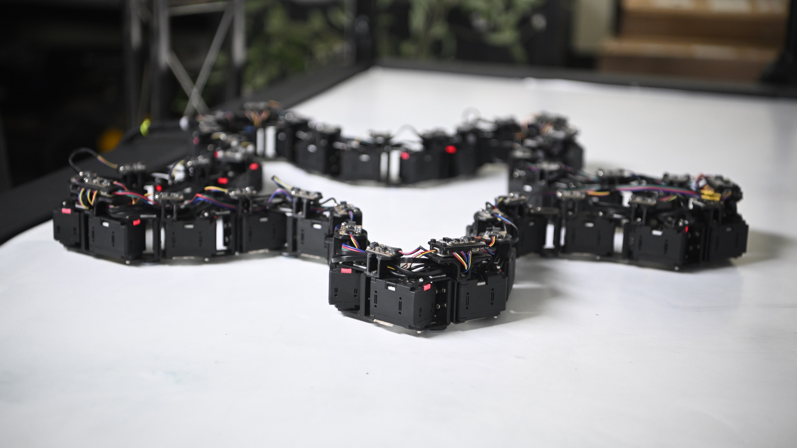 Loopy polymorphic robot testbed forming an emergent multi-lobed shape